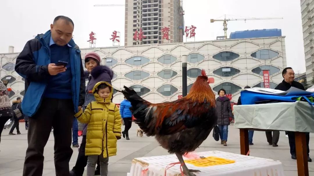 陕西省勉县扶贫政策,勉县消费水平高