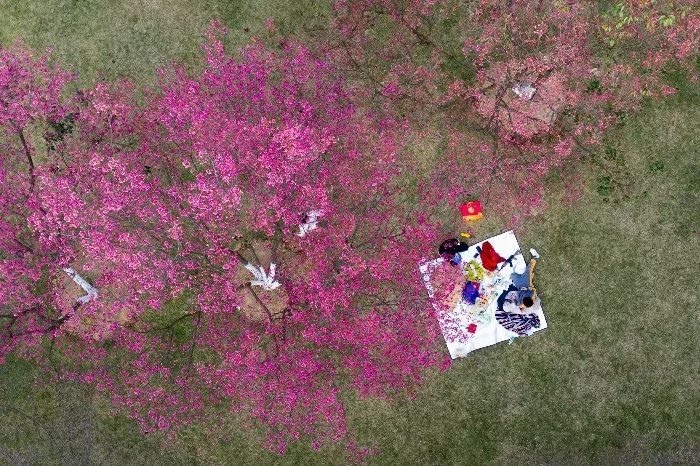 网售日本失眠处方药“蓝精灵”惹祸,90后女主播被诉贩毒