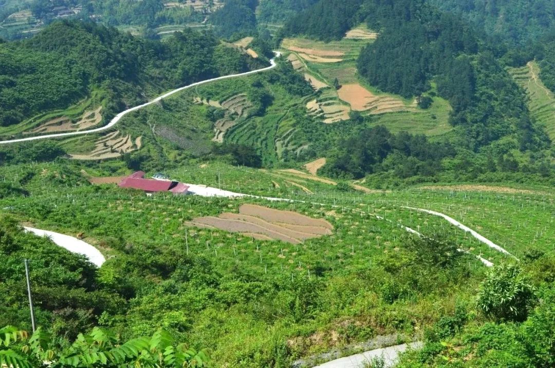 “村头”走向世界有多远？秀山296个电商网点让土货轻松变网货