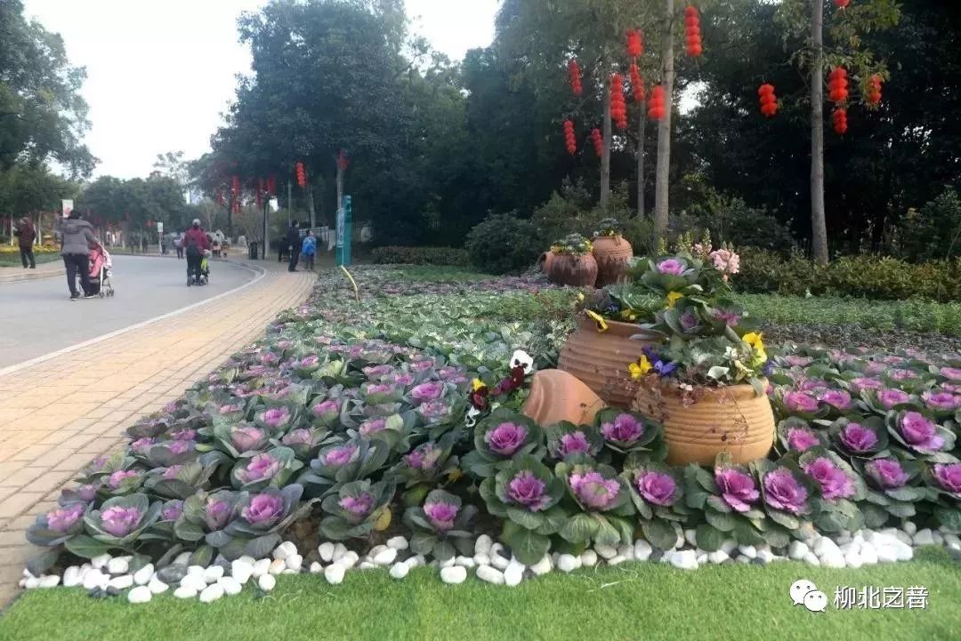 春节小长假旅游攻略,春节假期旅游省钱攻略