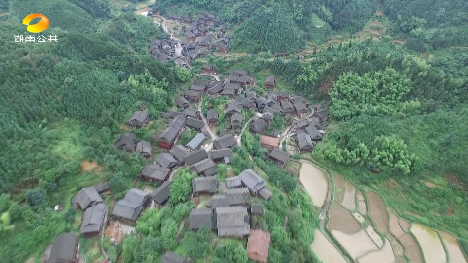 湘西芋头侗寨遗址,侗族芋头寨