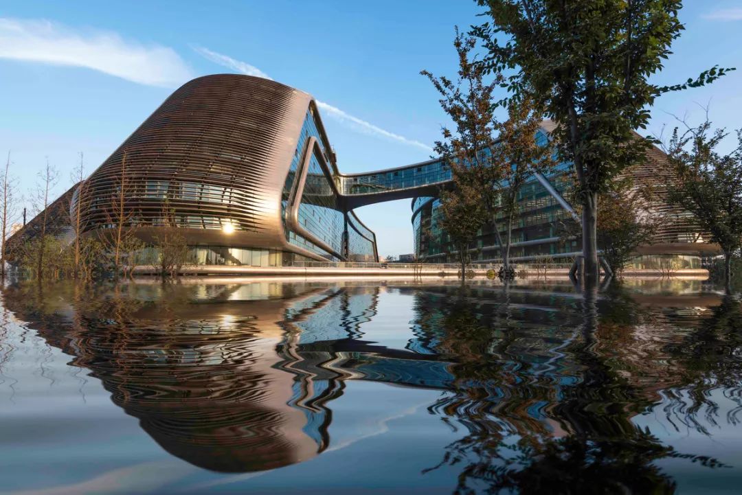 大兴机场扎哈原始方案像什么,扎哈为什么设计北京大兴国际机场