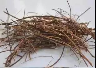 连吃三天大餐胃口都没了,连吃了三天大餐能补救吗