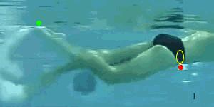 自由泳好看泳姿,陆地练习自由泳打腿