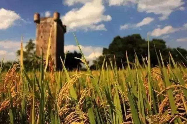 旅游防晕车攻略,晕车旅游攻略