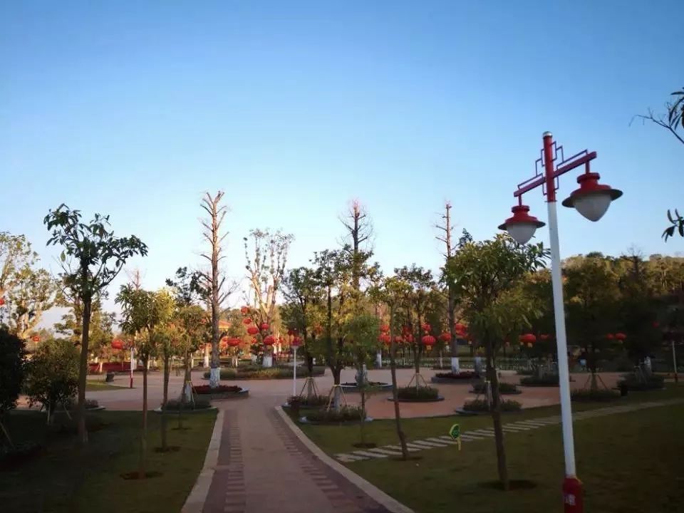 给你一份开远旅游打卡推荐！