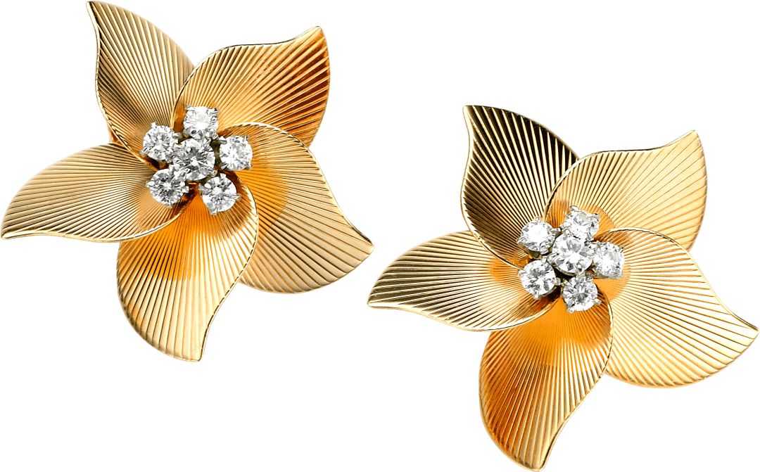 第65届格莱美全过程,格莱美不可错过的五个现场