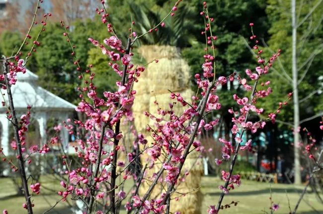 春节假期没嗨够怎么办？又一大波美轮美奂的景点等着你！乘公交直达