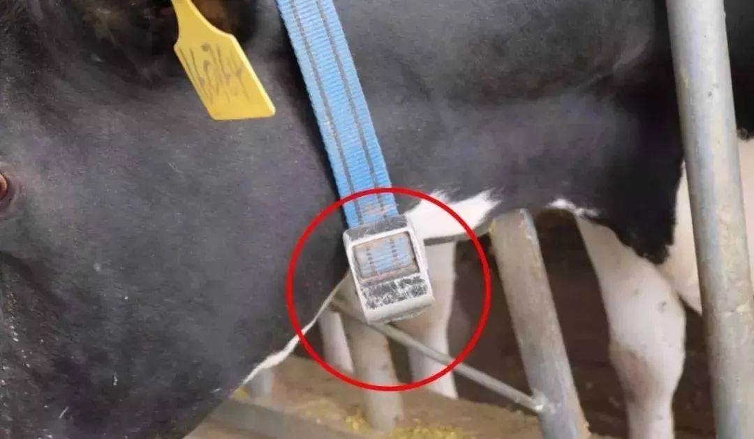 牛奶怎么选老爸测评,牛奶怎么选儿童