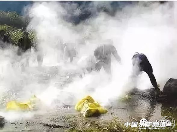 生石灰能治哪几种鱼病,鱼病了不开口怎么办