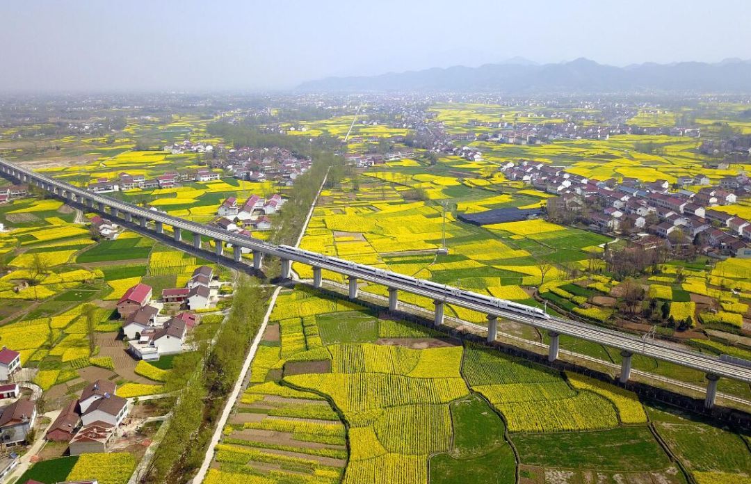 汉中这几天有啥好玩的,5月的汉中有哪些好玩的地方