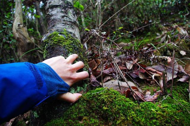 户外防晒防风夹克,布来亚克防风防水速干夹克