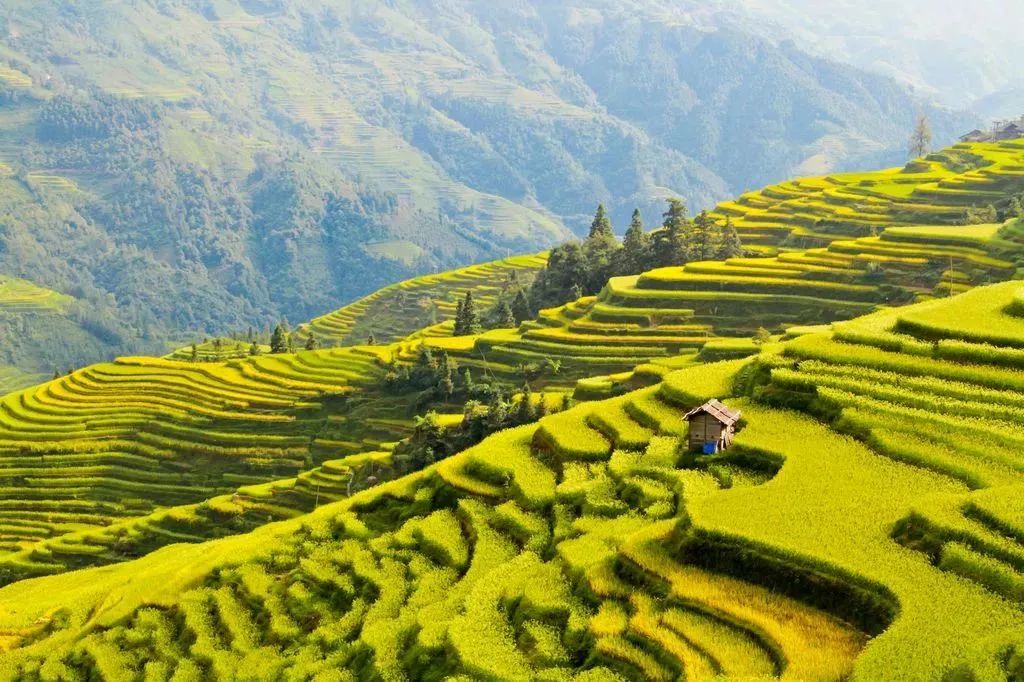 和贵州人交往应该注意什么,和贵州人谈恋爱视频