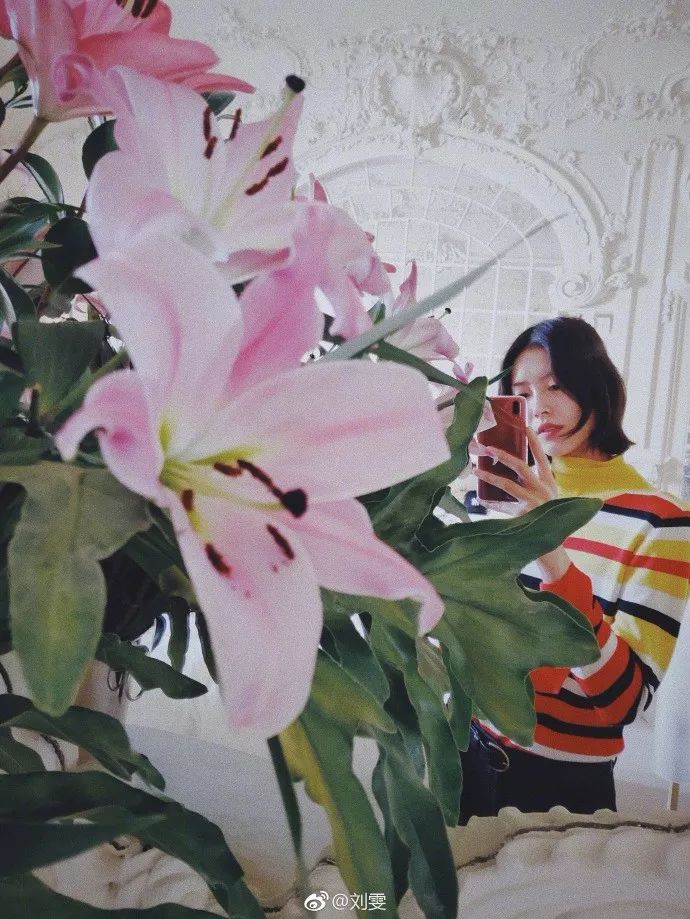 假期旅拍,假期结束后旅拍照片怎么发