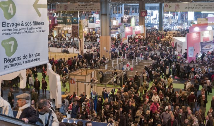 深圳国际会展中心建造历程,深圳国际会展中心排名榜