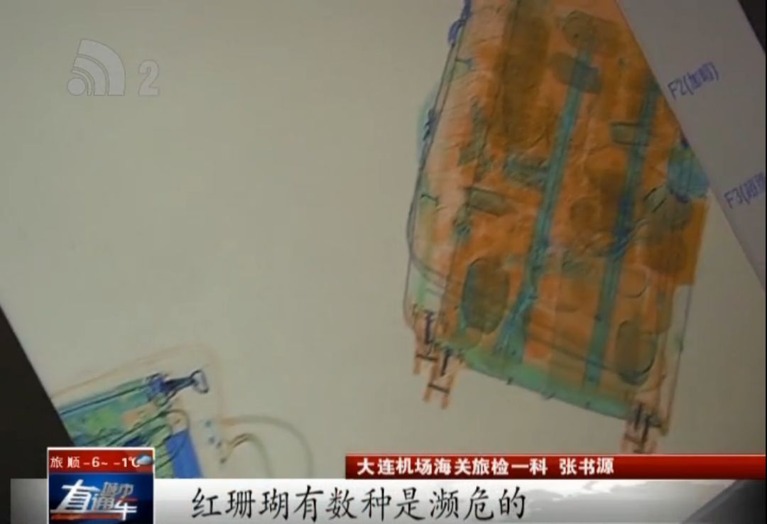 帮别人带货被扣了怎么说,帮忙带货被查