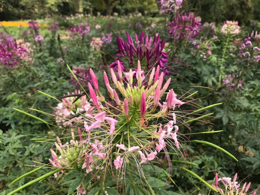 去日本从哪里出发便宜,去日本从哪里出发最便宜
