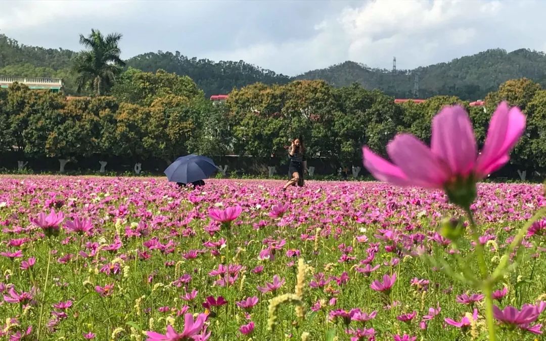 去日本从哪里出发便宜,去日本从哪里出发最便宜