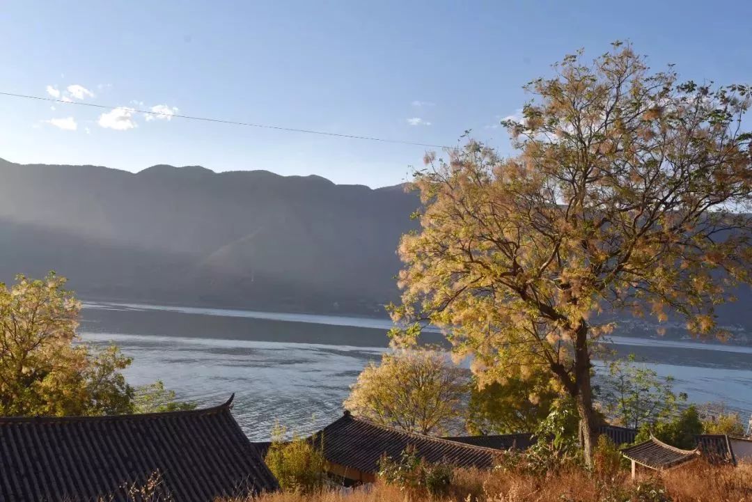 郑艺丽江新消息,郑艺丽江最新消息