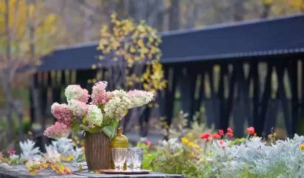 情人节必打卡酒店,情人节宝藏酒店推荐