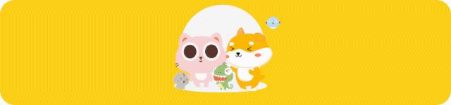 秒杀1元猫窝,爆款99元猫窝套餐