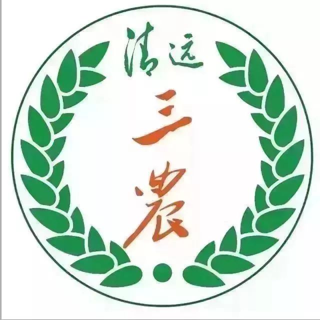 清远日报社融合转型经验，获全国报业大调研优秀成果三等奖