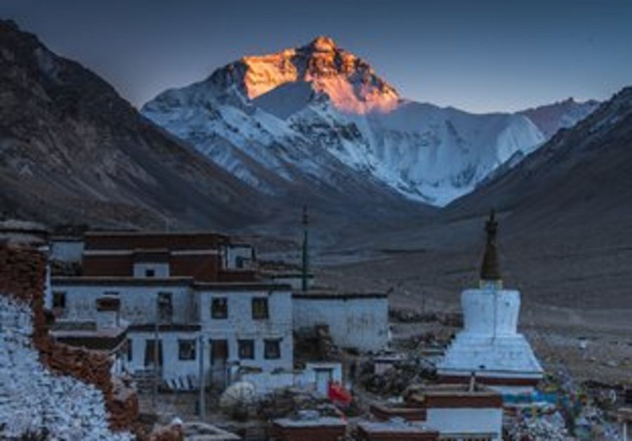 浼戦棽椹跨珯,浼戦棽椹跨珯2015