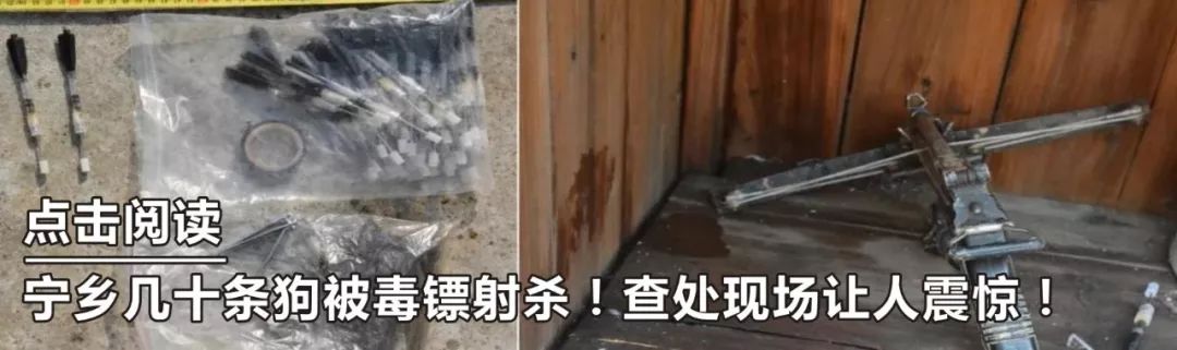 最真实的兼职工作,有没有比较简单的兼职工作