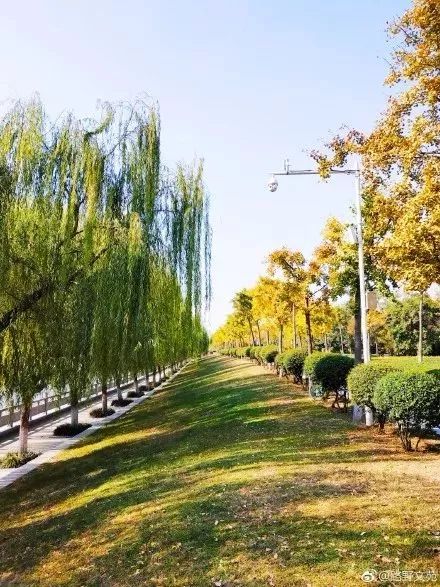 郑州适合骑车去玩的地方,郑州周边适合骑行的公园