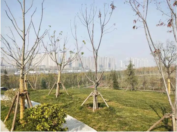 郑州适合骑车去玩的地方,郑州周边适合骑行的公园