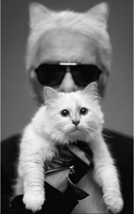 老佛爷的所有家产最后留给了猫 (老佛爷的猫死后谁来继承他的遗产)