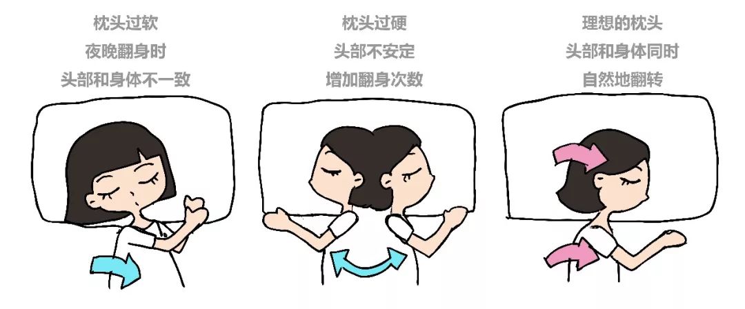 这个百元枕头让你享受五星级酒店的高级体验，一晚拯救失眠