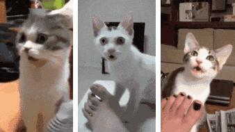 袜元素改善脚部烦恼的防臭抑菌袜,袜元素拯救脚臭的神器