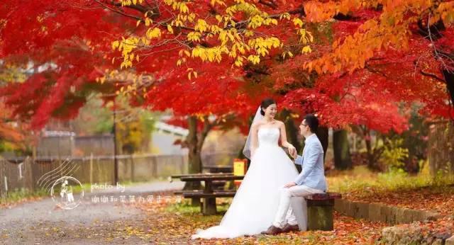 一个人穷游中国总结2018到2020,一个人穷游中国最省钱的旅行