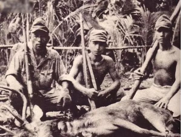 日军为什么爱抢鸡,日本鬼子为什么喜欢吃鸡肉