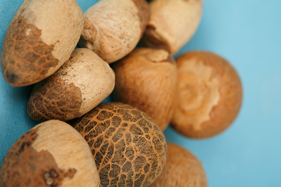 为什么槟榔近千亿产业或受影响,槟榔隐形产业链