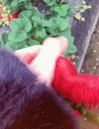 正惊GIF囧图：史上最硬核的学霸，女装大佬是怎么坐地铁的？