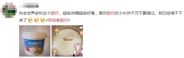 新疆酸奶测评推荐,地方特色酸奶测评