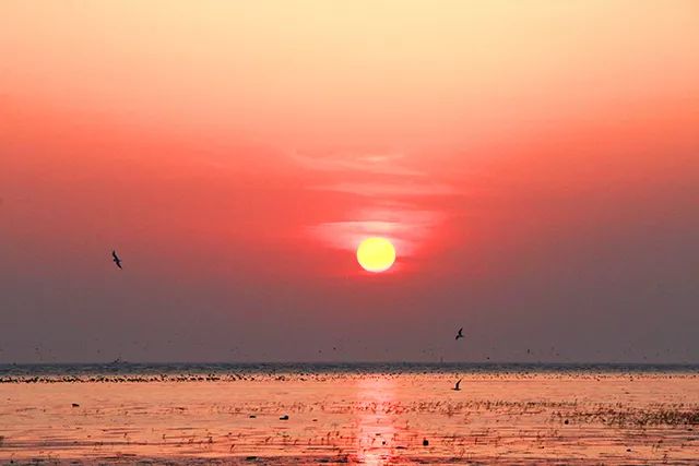 营口市生活指南,营口生活指南