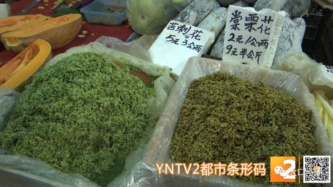 春天吃花要注意！吃错会中毒，头晕恶心呕吐，每年都有人中招