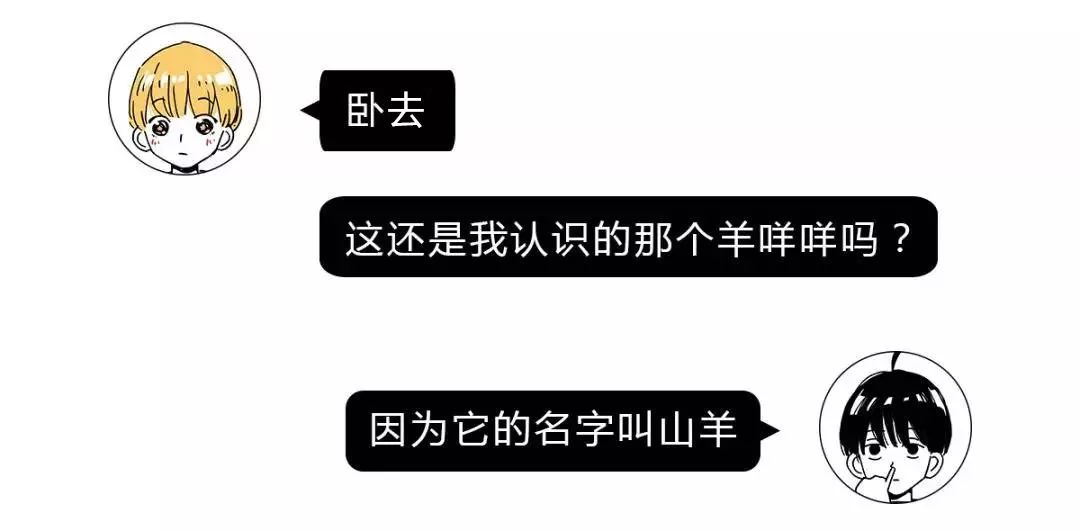 作为内蒙人，山羊这么牛的生物，竟然不了解？