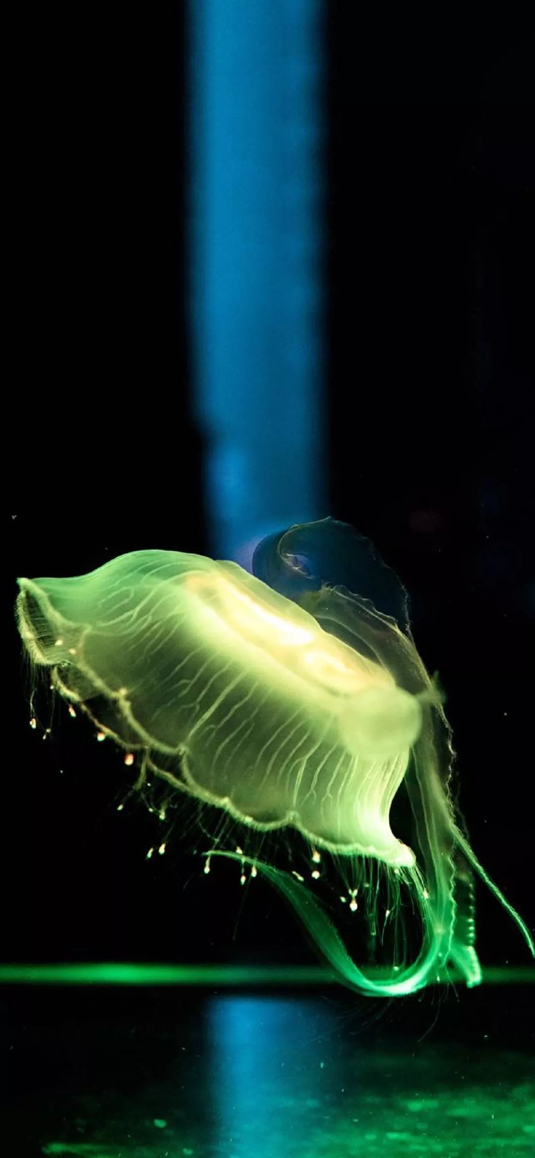 苹果xr原生壁纸图片高清,iphonexr壁纸高清大全