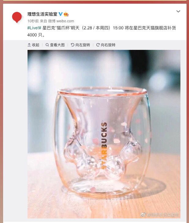 猫爪杯星巴克被炒到多少钱,星巴克猫爪杯799