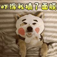 护肤八大误区之皮肤出油,护肤界的迷惑解密