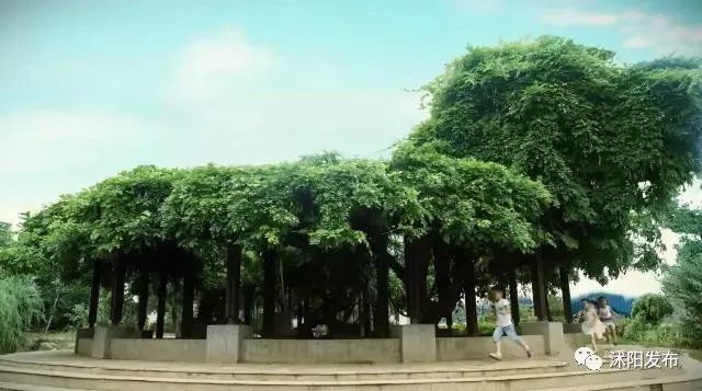 带你了解沭阳,普及沭阳知识