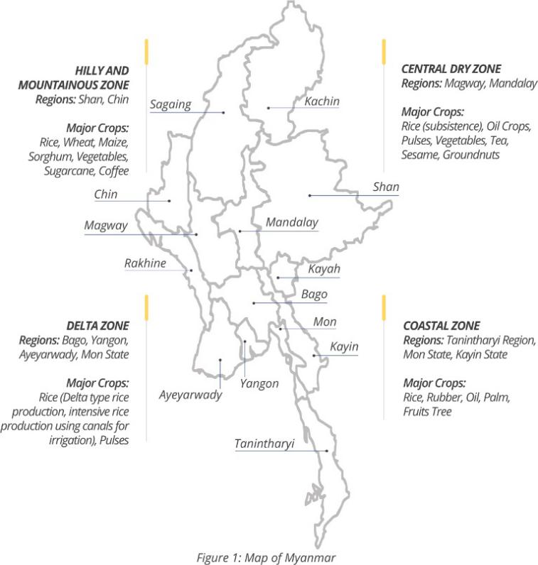 缅甸农药登记规定 (缅甸农药登记需要什么手续)