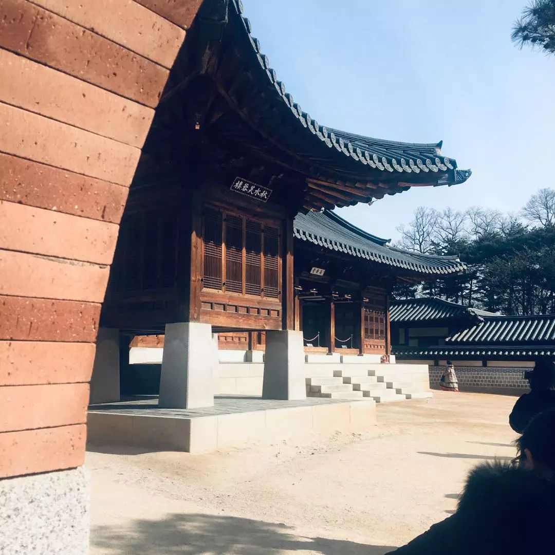 韩国购物值得买的吃的,去韩国必买什么吃的