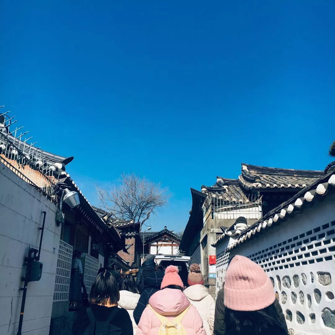 韩国购物值得买的吃的,去韩国必买什么吃的