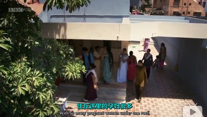 揭秘|为了8000美元，她们甘愿租借自己的子宫...