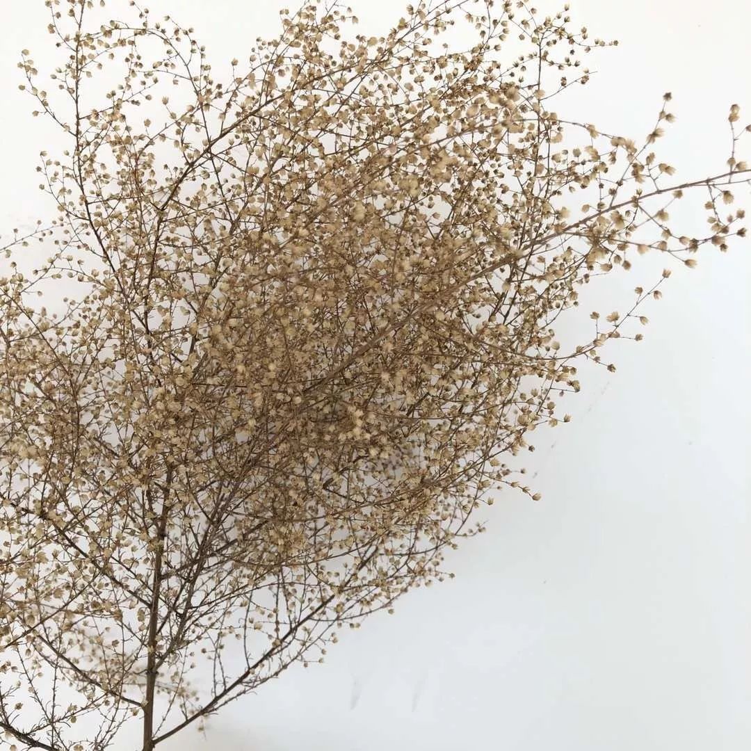 沙漠一年出现的奇观,沙漠黄河的奇景